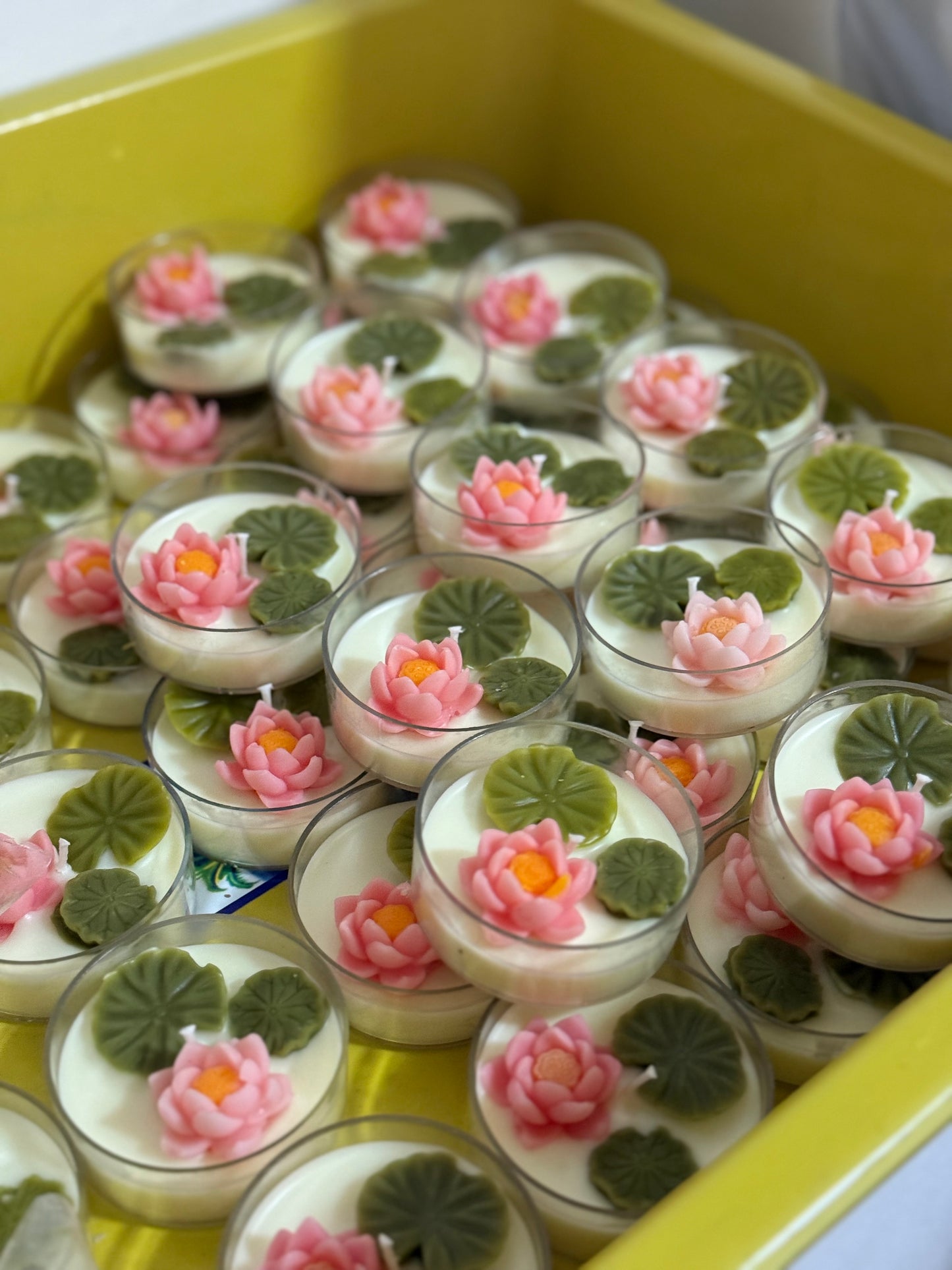 Lotus Pond Tlights | Pack of 4