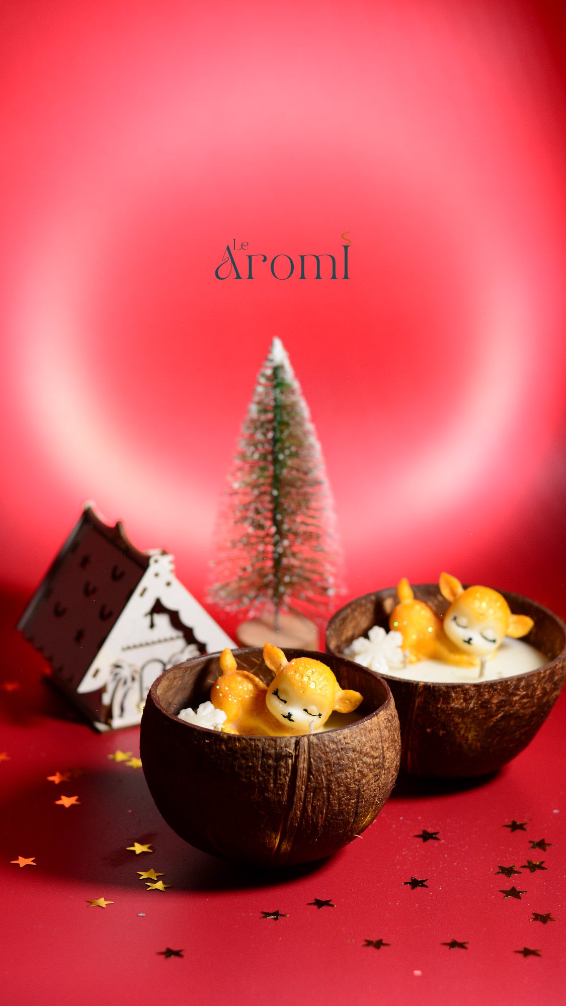 Christmas Collection